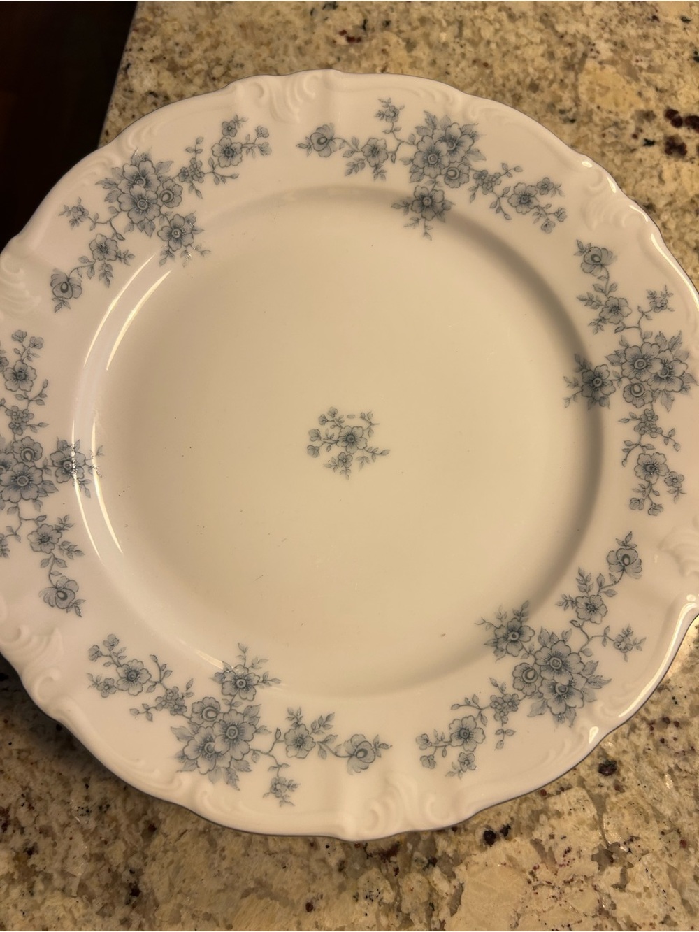 White Porcelain Dinner Plate with Delicate Blue Floral Pattern Germany set of 5